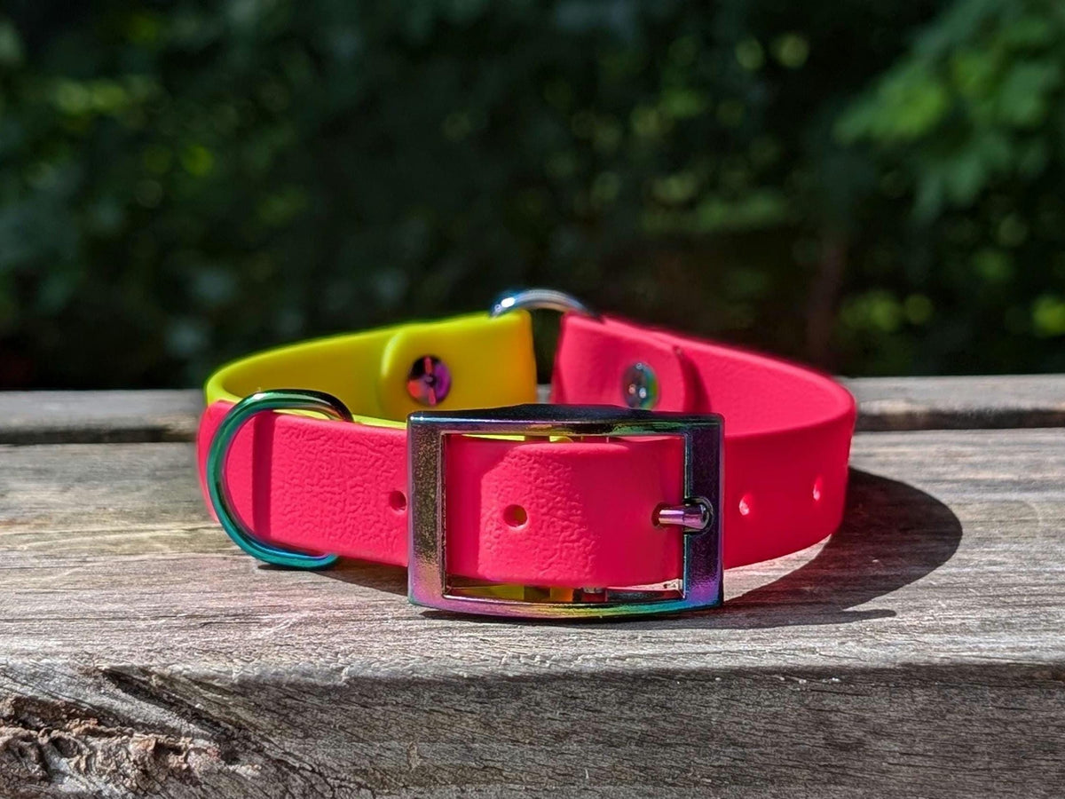 3/4" Two-Tone Collar
